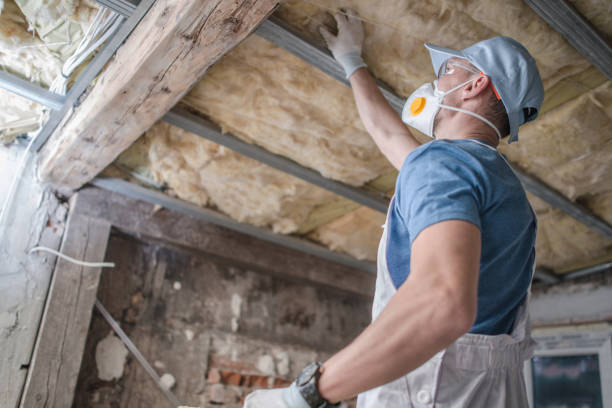 Best Specialized Insulation Services in Saddlebrooke, AZ