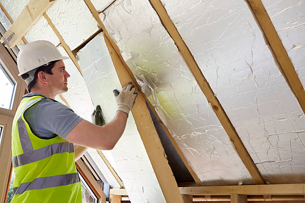 Best Cellulose Insulation in Saddlebrooke, AZ